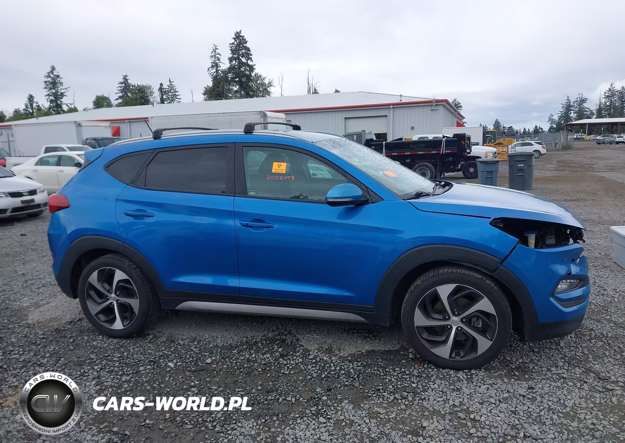2017 Hyundai Tucson Sport VIN:KM8J3CA27HU335740 - 14