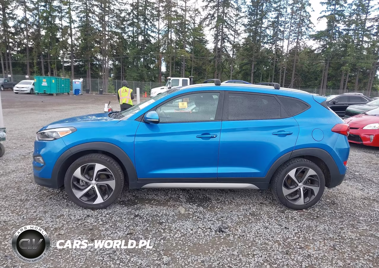 2017 Hyundai Tucson Sport VIN:KM8J3CA27HU335740 - 15
