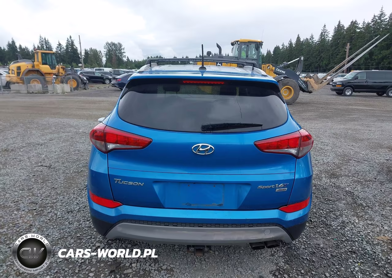 2017 Hyundai Tucson Sport VIN:KM8J3CA27HU335740 - 17