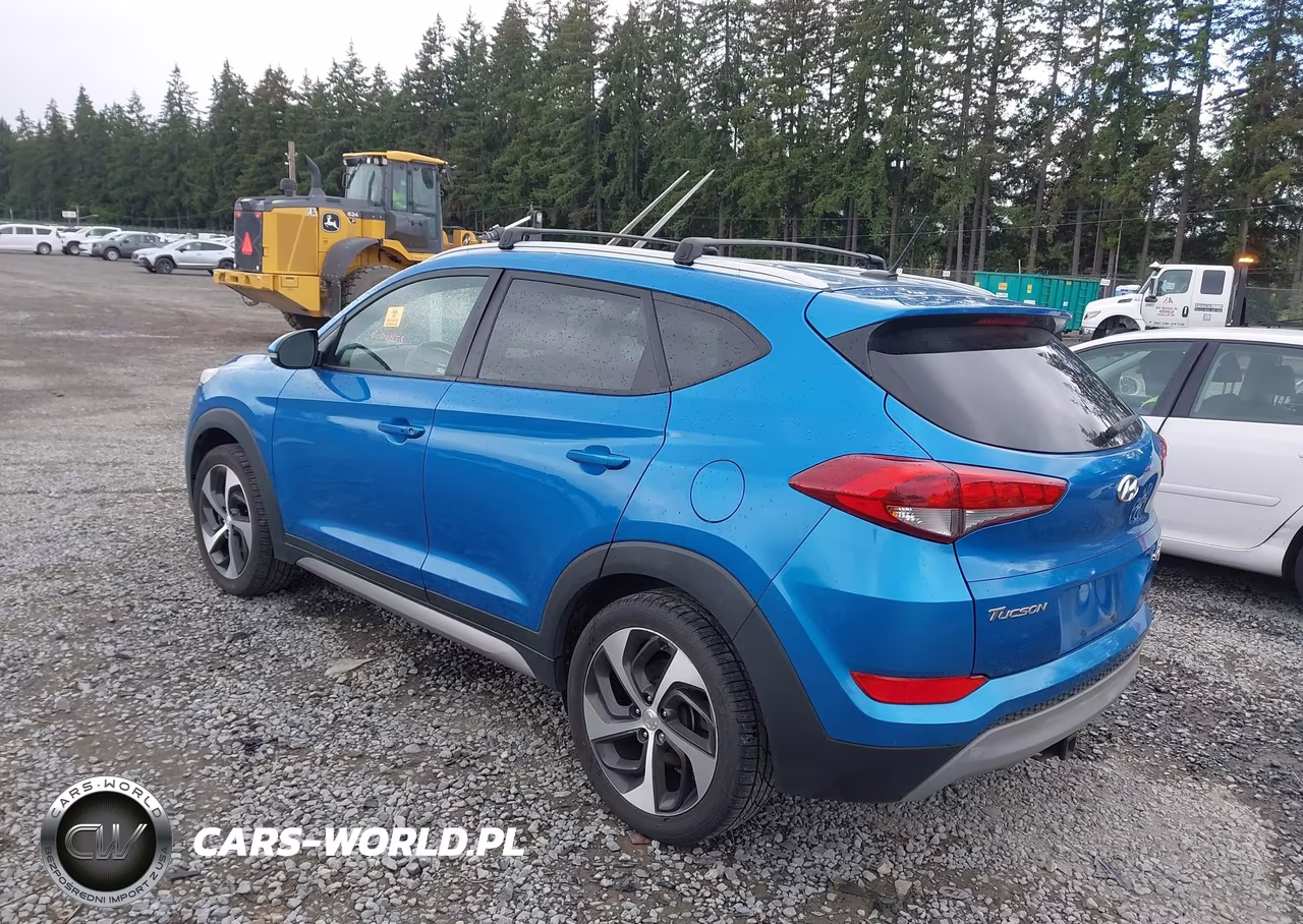 2017 Hyundai Tucson Sport VIN:KM8J3CA27HU335740 - 3
