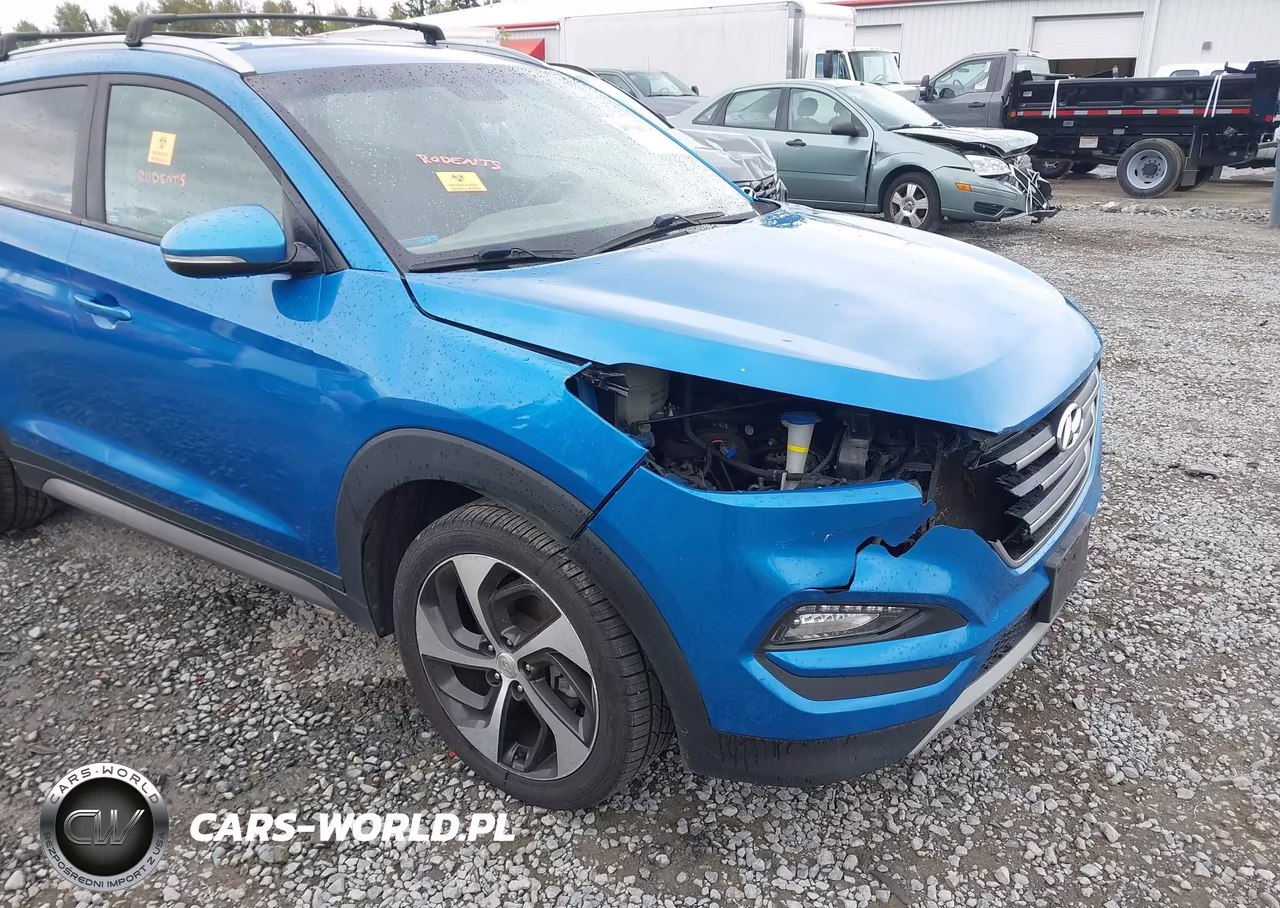 2017 Hyundai Tucson Sport VIN:KM8J3CA27HU335740 - 6