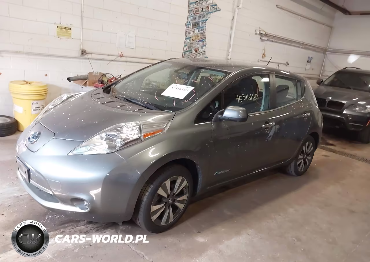 2016 Nissan Leaf S-Sl-Sv VIN:1N4BZ0CPXGC312848 - 2
