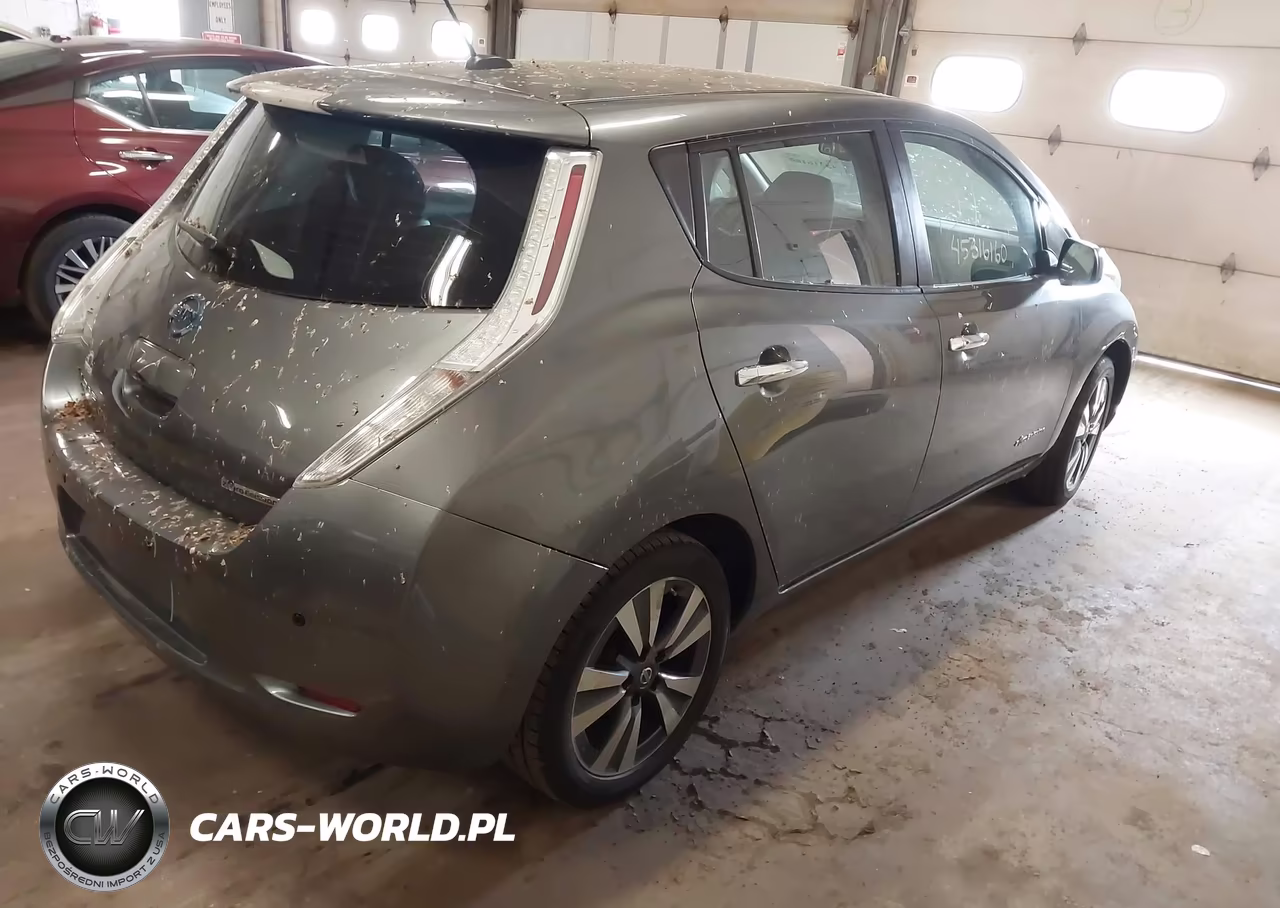 2016 Nissan Leaf S-Sl-Sv VIN:1N4BZ0CPXGC312848 - 4