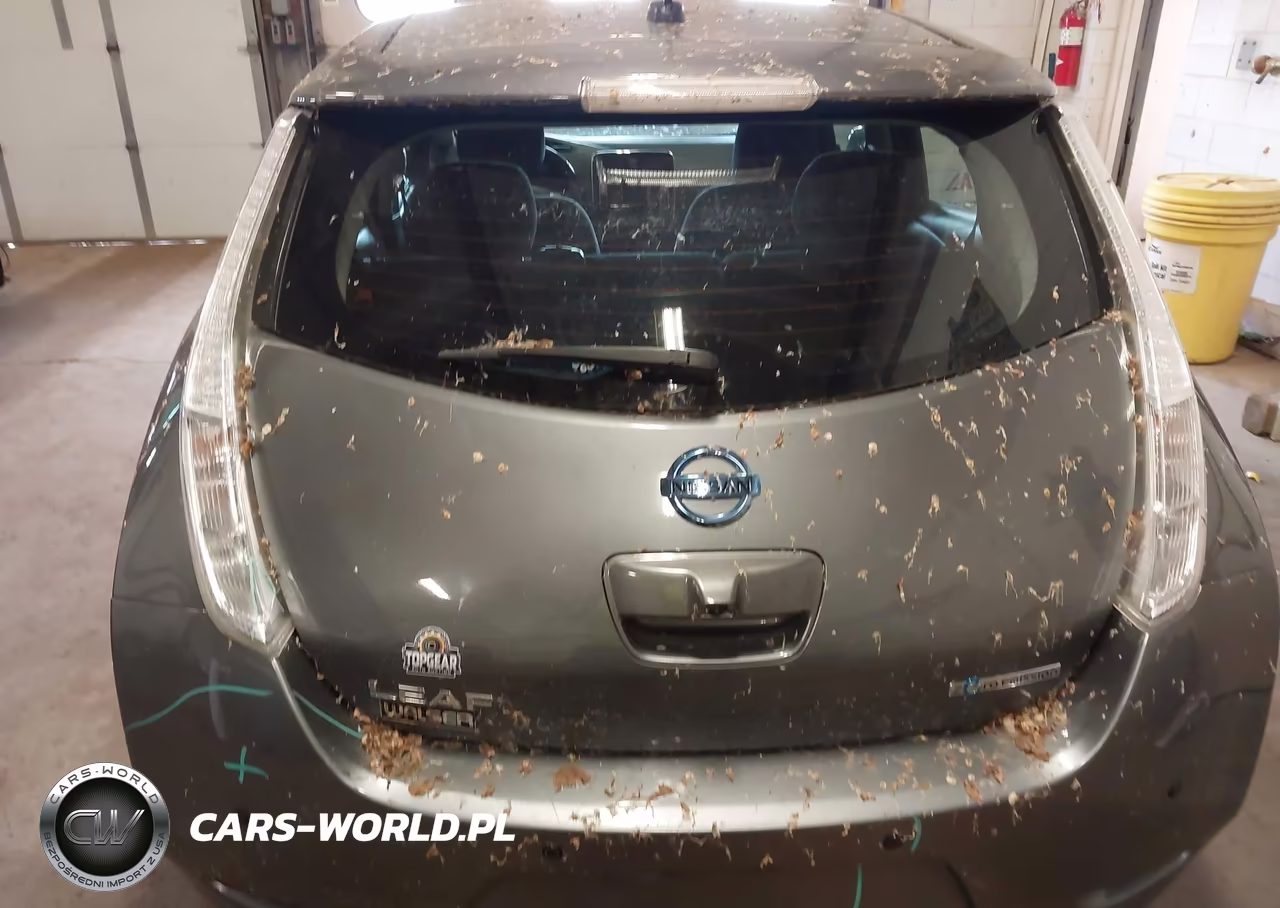 2016 Nissan Leaf S-Sl-Sv VIN:1N4BZ0CPXGC312848 - 6