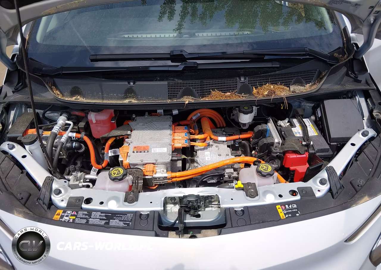 2023 Chevrolet Bolt Ev Fwd 2Lt VIN:1G1FX6S02P4194595 - 10