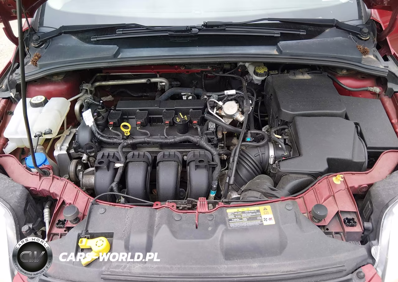 2013 Ford Focus Se VIN:1FADP3F23DL163100 - 10