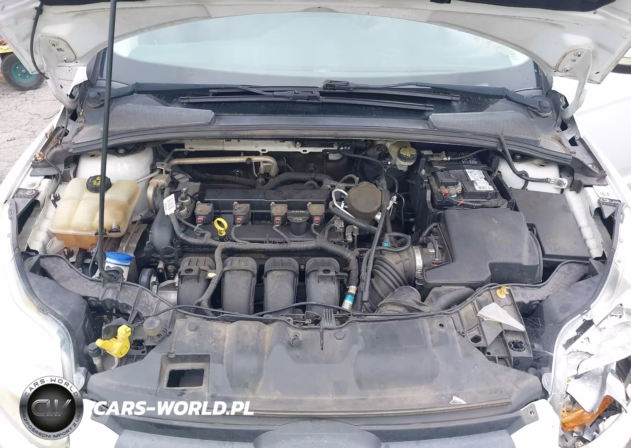 2014 Ford Focus Se VIN:1FADP3F22EL243845 - 10