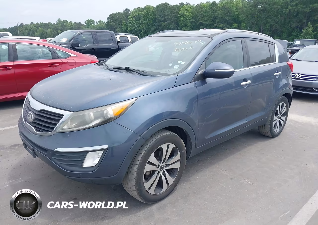 2013 Kia Sportage Ex VIN:KNDPC3A24D7355564 - 2