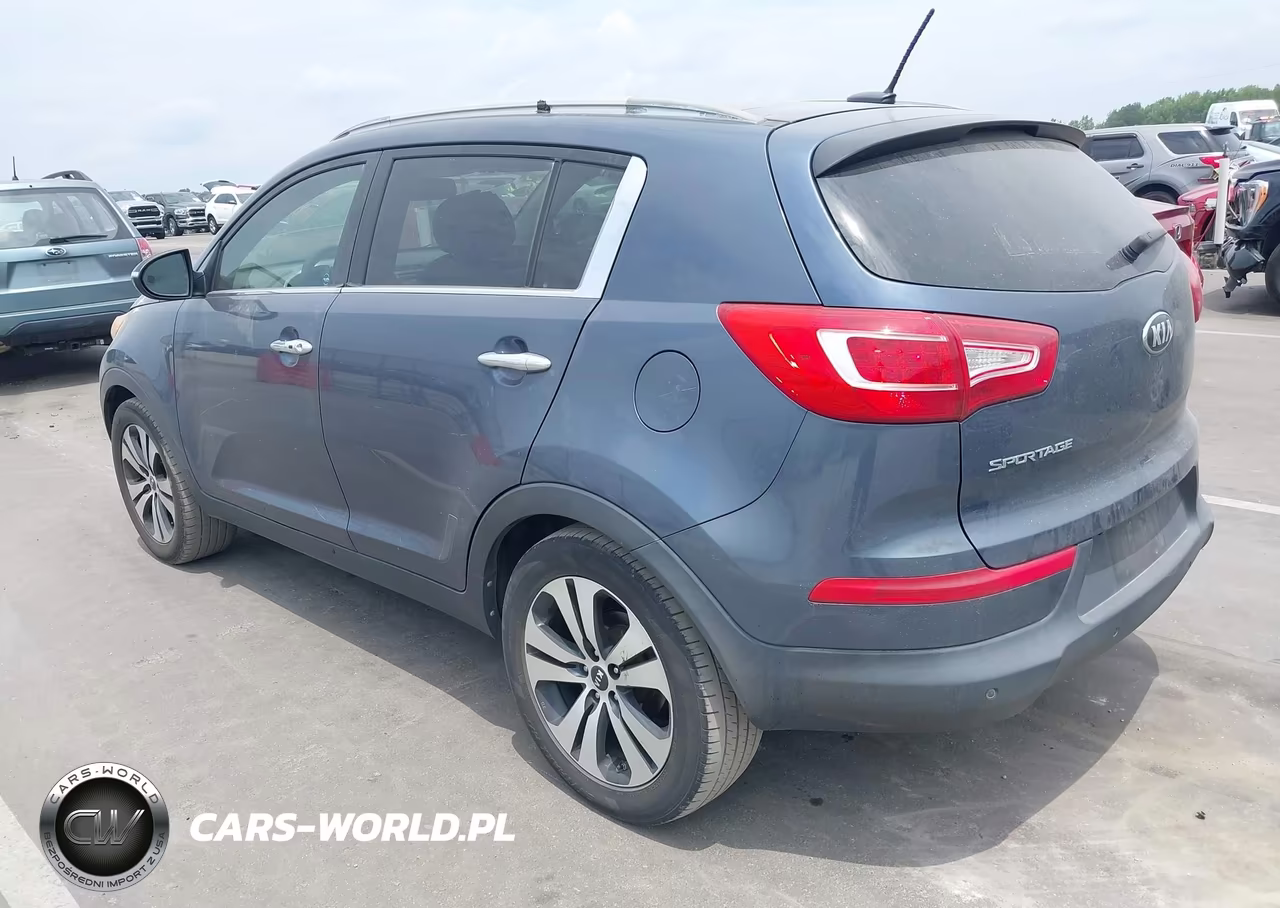 2013 Kia Sportage Ex VIN:KNDPC3A24D7355564 - 3