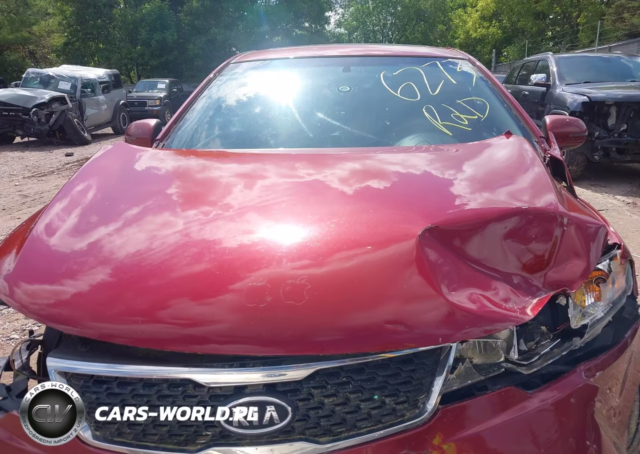 2011 Kia Forte Ex VIN:KNAFU5A24B5324065 - 13