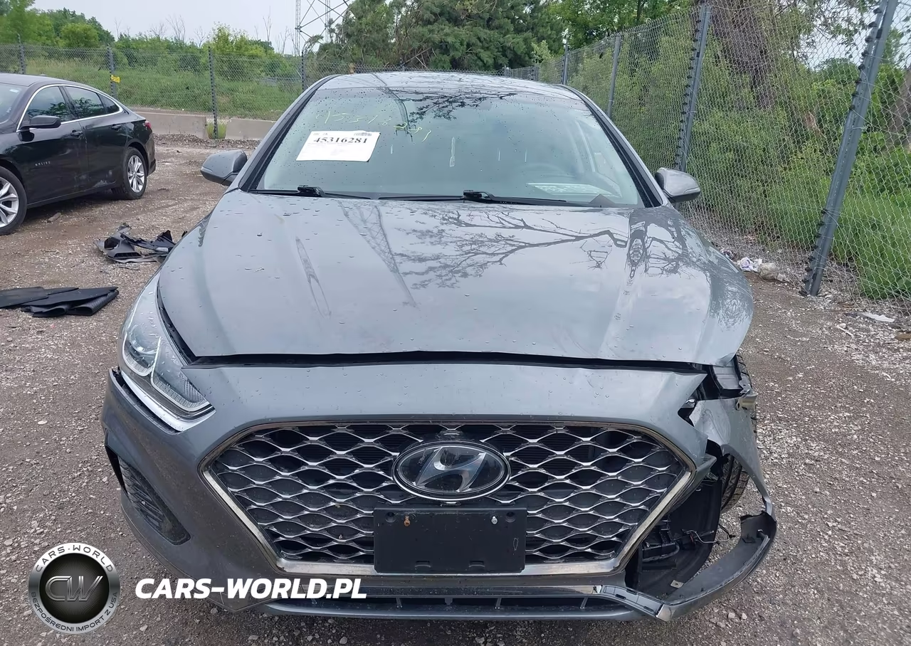 2019 Hyundai Sonata Sel VIN:5NPE34AF4KH764852 - 13