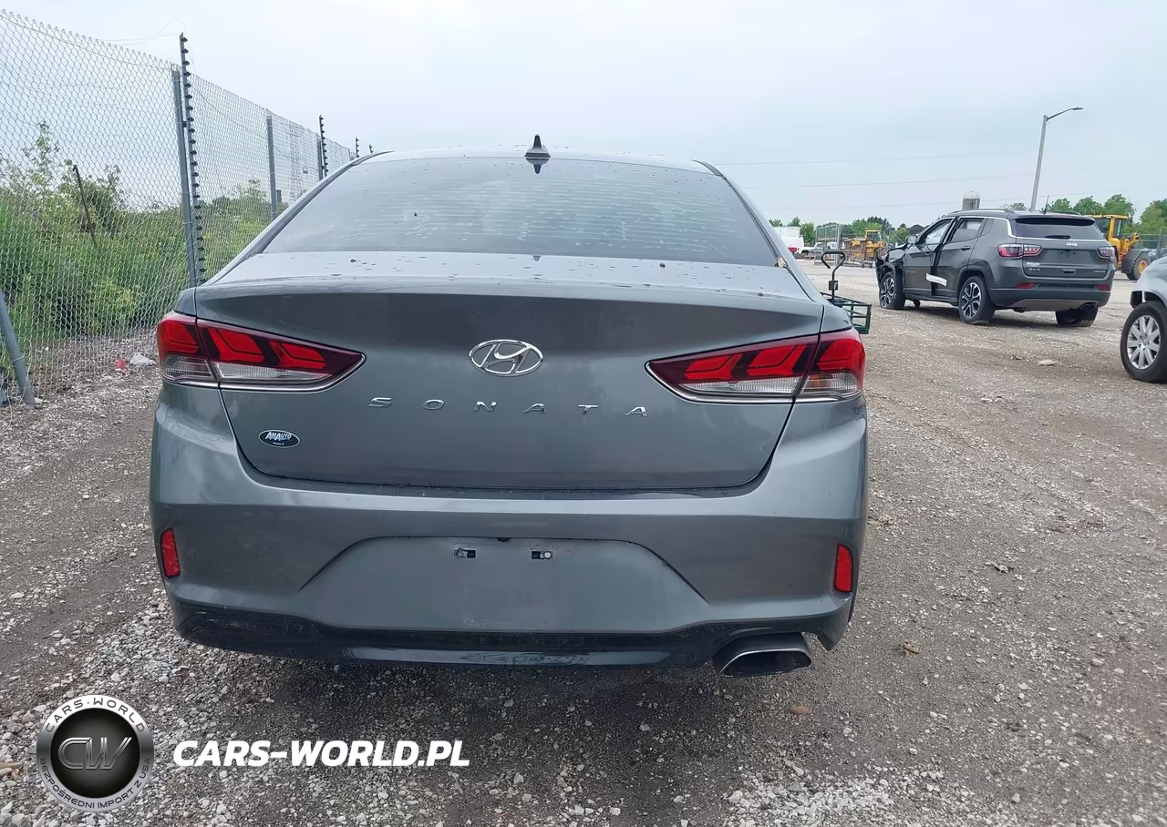 2019 Hyundai Sonata Sel VIN:5NPE34AF4KH764852 - 17