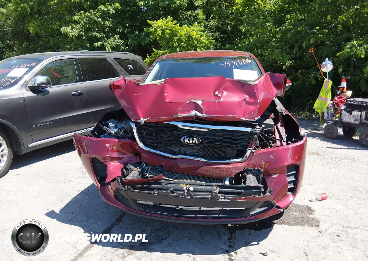 2019 Kia Sorento 2.4L Lx VIN:5XYPG4A3XKG506667 - 13