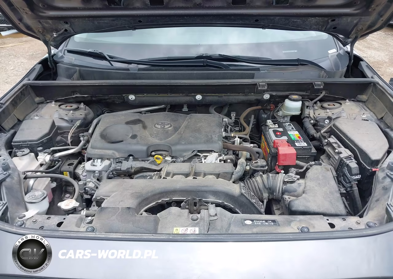 2019 Toyota Rav4 Le VIN:JTMH1RFV7KJ003837 - 10