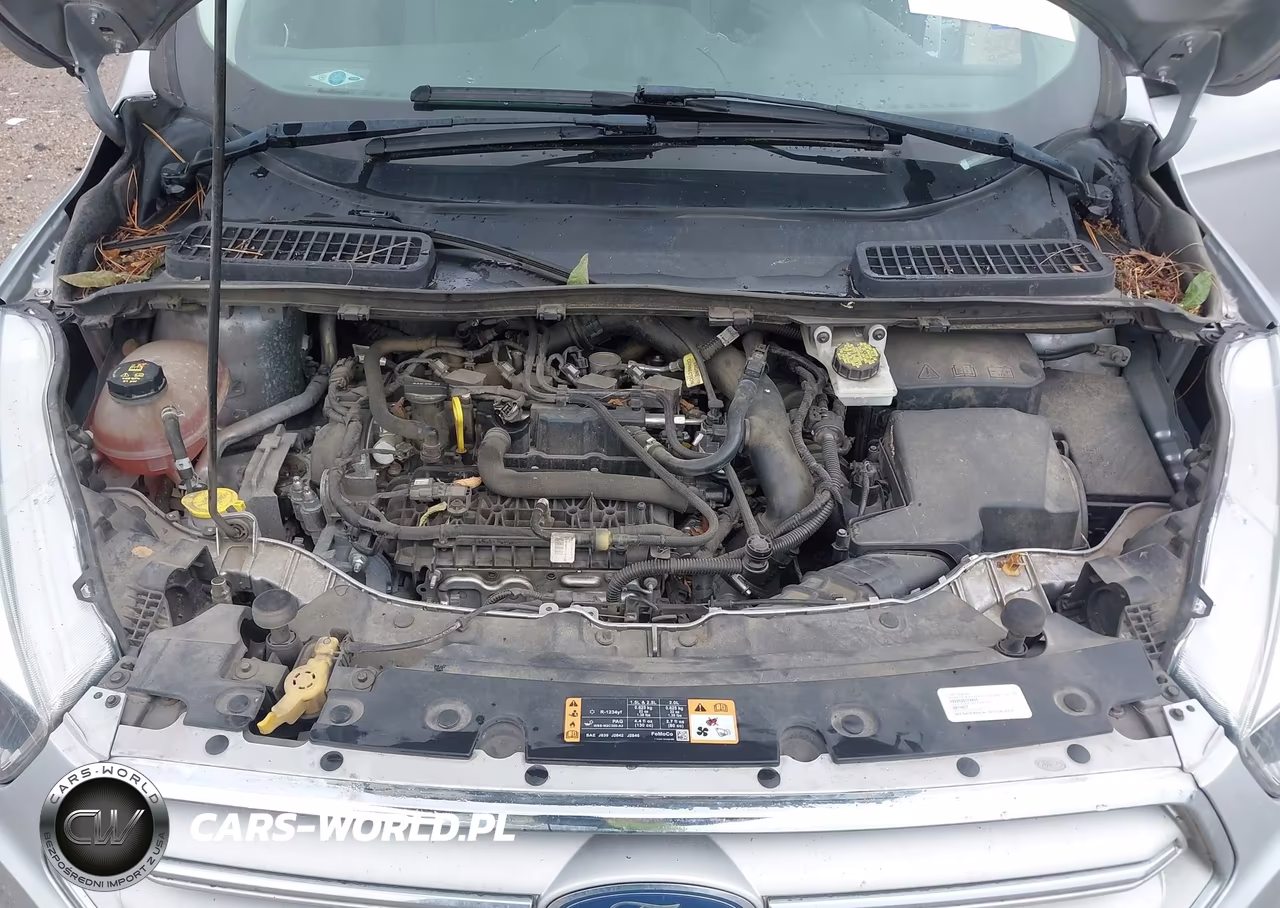 2019 Ford Escape Se VIN:1FMCU0GD0KUA64962 - 10