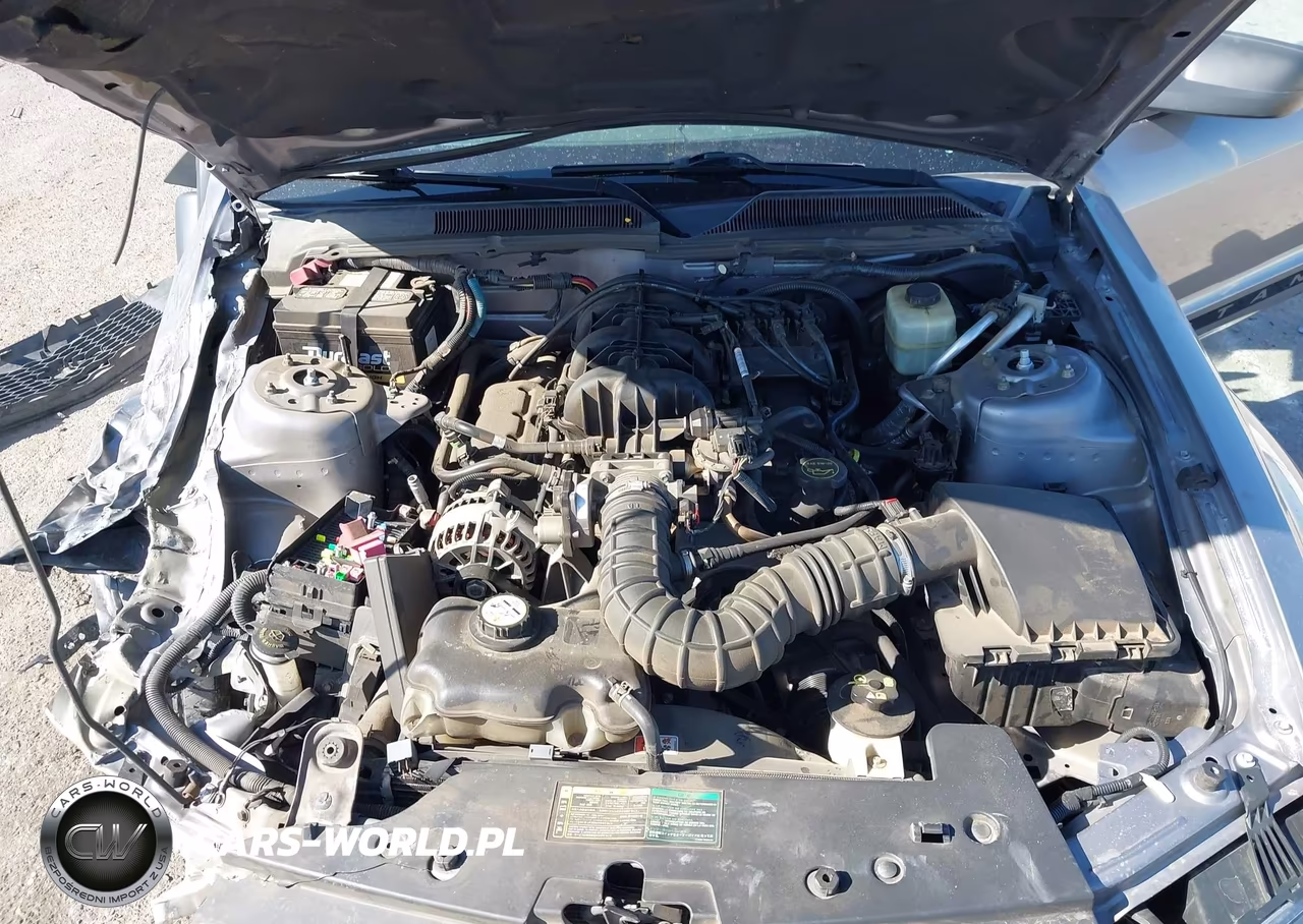 2006 Ford Mustang V6 VIN:1ZVFT80N365157803 - 10