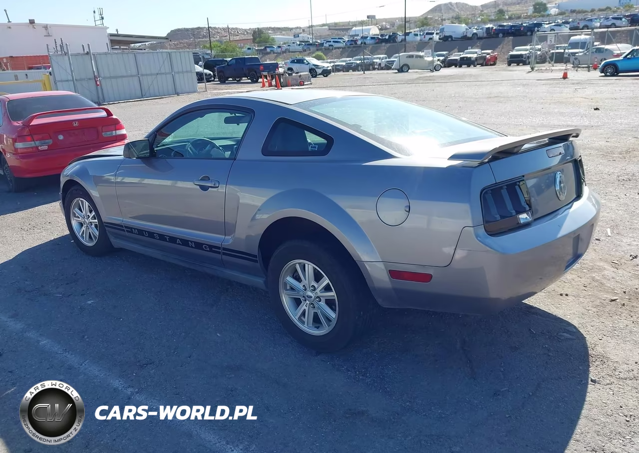 2006 Ford Mustang V6 VIN:1ZVFT80N365157803 - 3