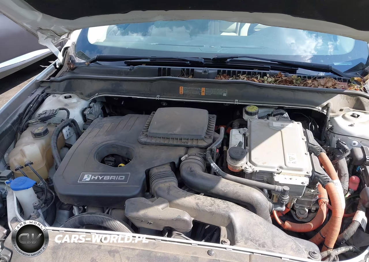 2016 Ford Fusion Hybrid Se VIN:3FA6P0LU8GR169929 - 10