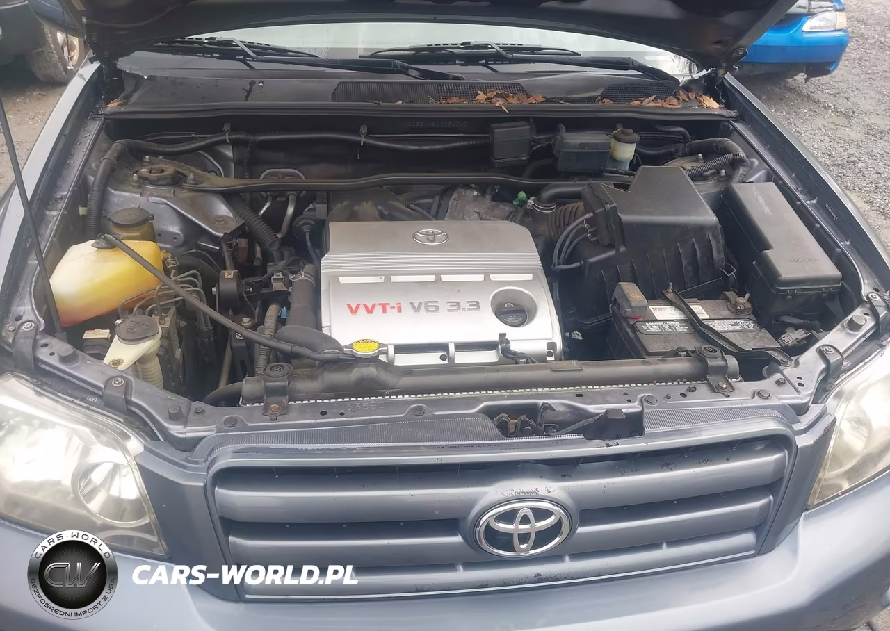 2004 Toyota Highlander V6 VIN:JTEDP21A240034345 - 10