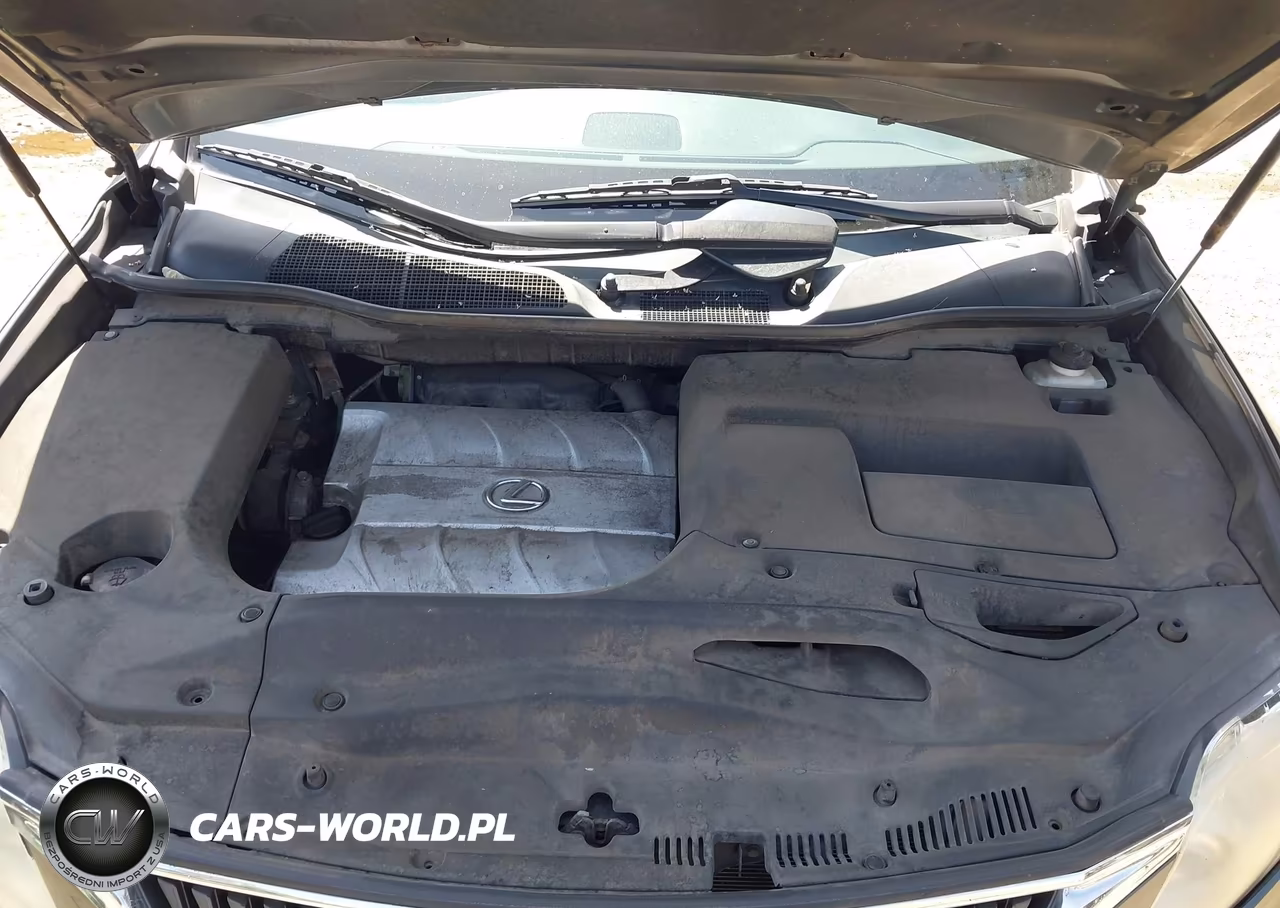 2010 Lexus Rx 350 VIN:2T2BK1BA0AC021691 - 10