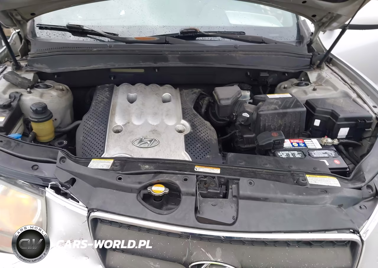 2007 Hyundai Santa Fe Gls VIN:5NMSG73D07H050452 - 10
