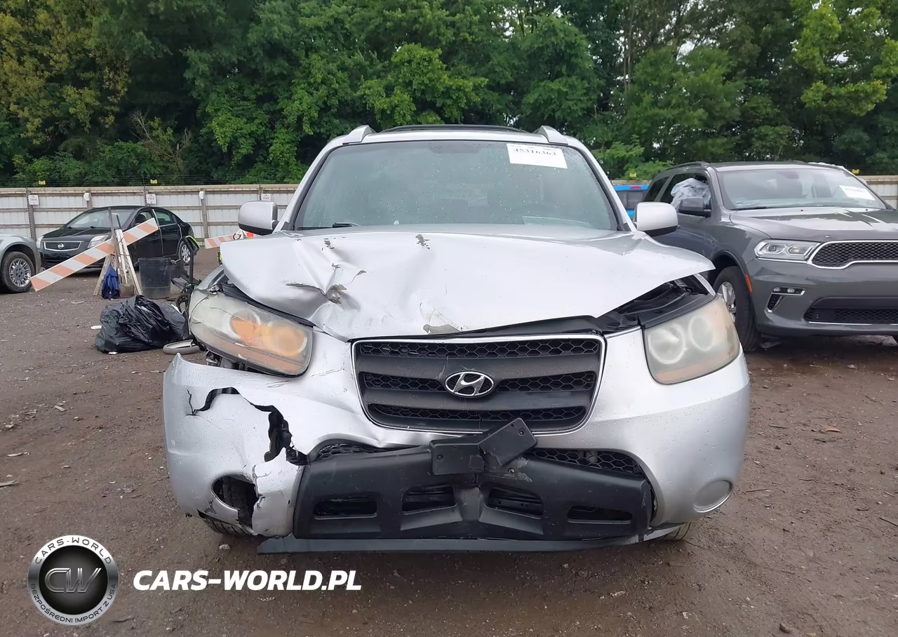 2007 Hyundai Santa Fe Gls VIN:5NMSG73D07H050452 - 12