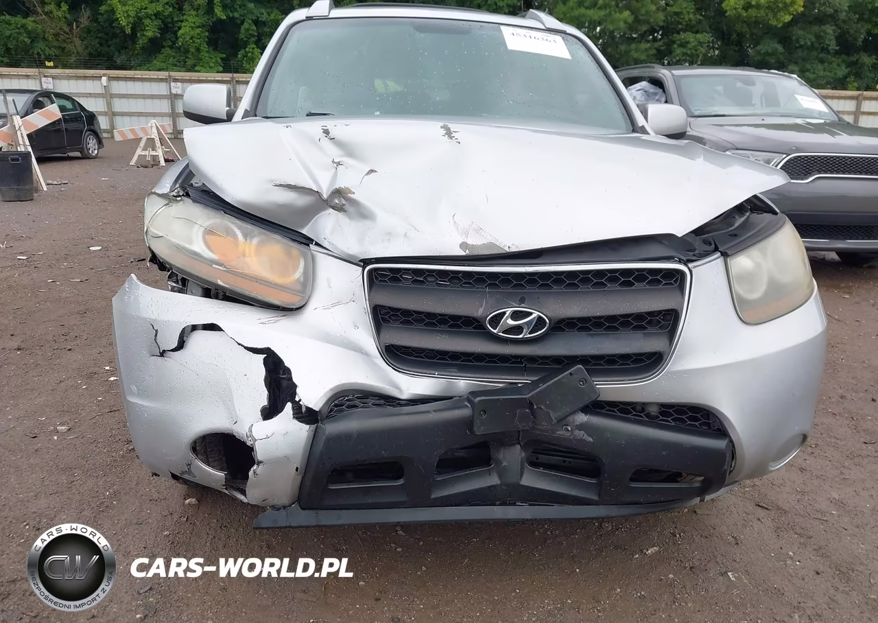 2007 Hyundai Santa Fe Gls VIN:5NMSG73D07H050452 - 6