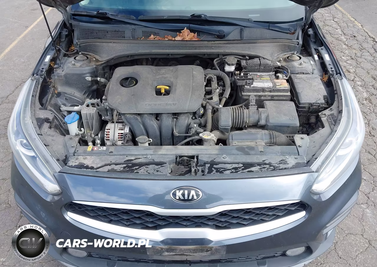 2019 Kia Forte Fe VIN:3KPF24AD7KE028224 - 10