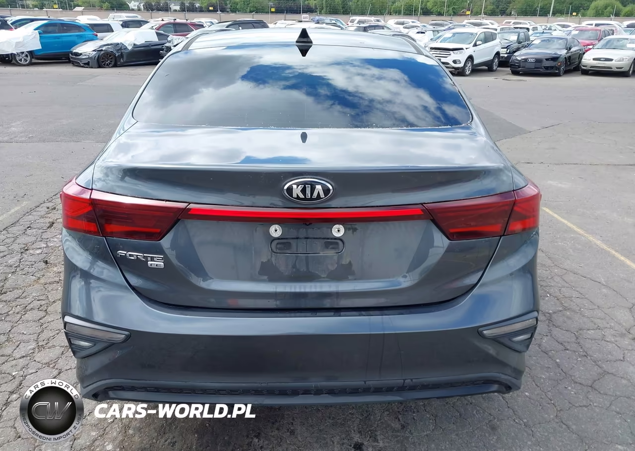 2019 Kia Forte Fe VIN:3KPF24AD7KE028224 - 16