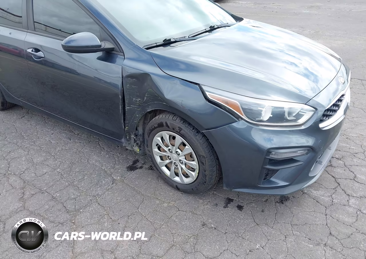 2019 Kia Forte Fe VIN:3KPF24AD7KE028224 - 6