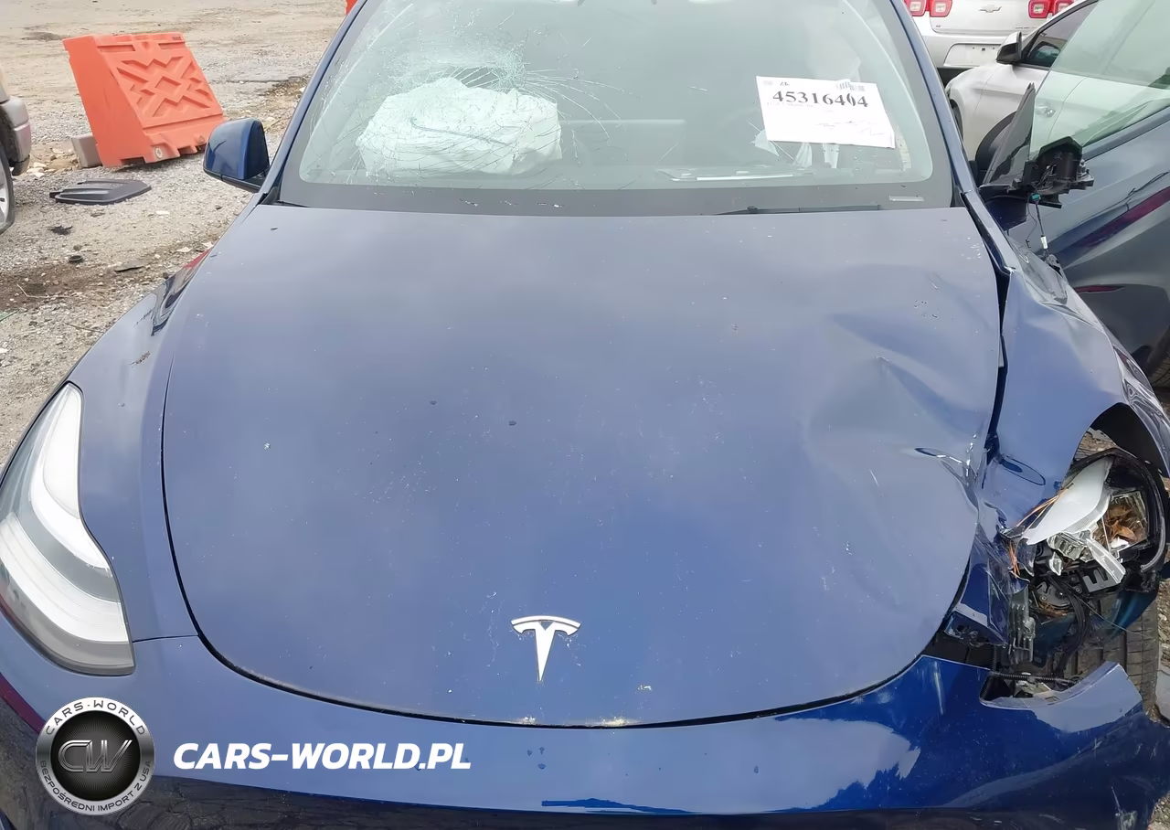 2021 Tesla Model Y Long Range Dual Motor All-Wheel Drive VIN:5YJYGDEE1MF209300 - 10
