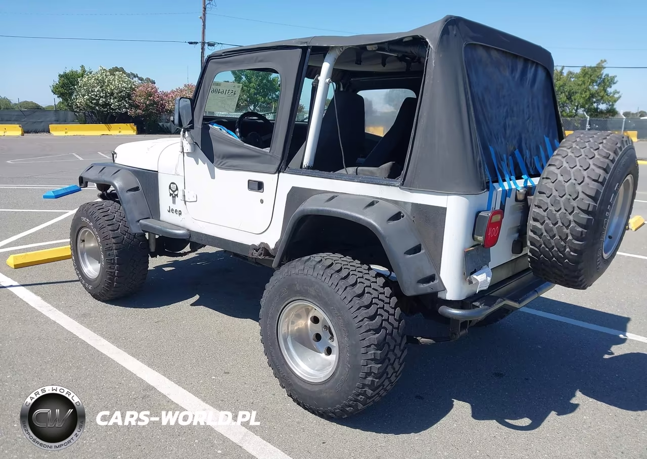 1993 Jeep Wrangler - Yj S VIN:1J4FY19P7PP261792 - 3