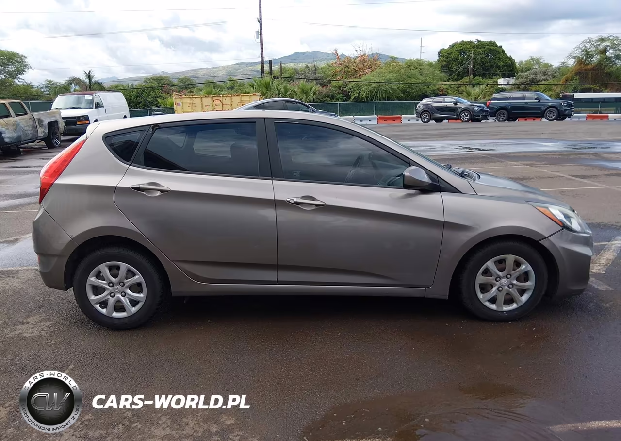 2014 Hyundai Accent Gs VIN:KMHCT5AE4EU181420 - 14