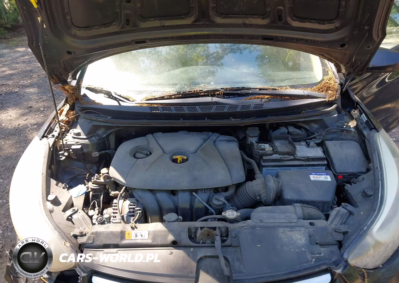 2014 Hyundai Elantra Se VIN:KMHDH4AE7EU218699 - 10