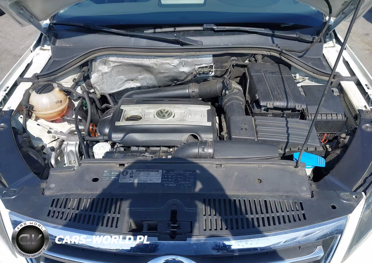 2011 Volkswagen Tiguan Sel VIN:WVGAV7AX0BW505462 - 10