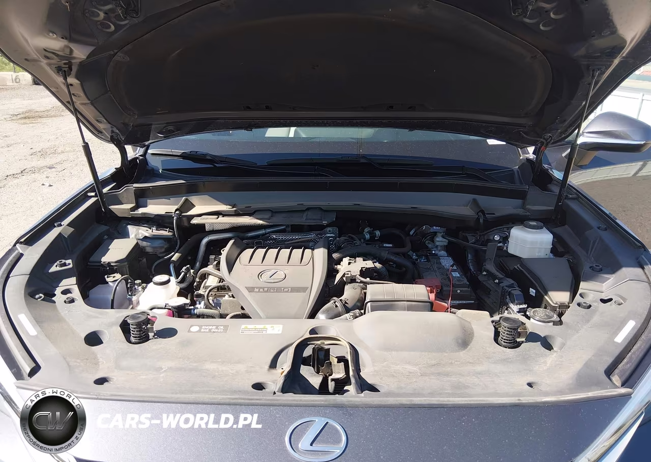2024 Lexus Tx 350 VIN:5TDAAAA66RS010861 - 10
