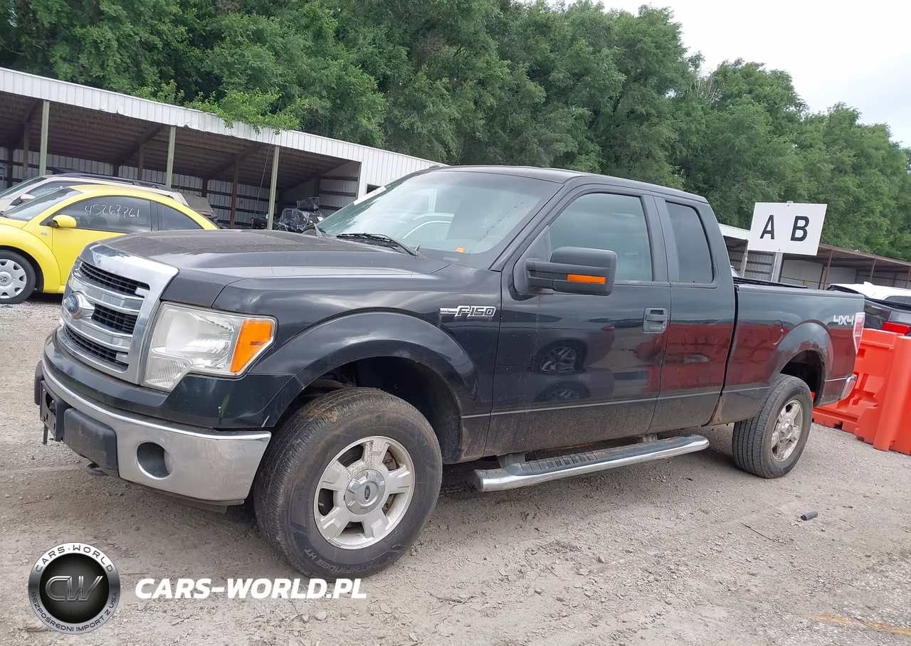 2014 Ford F-150 Xlt VIN:1FTFX1EF2EKF83594 - 14