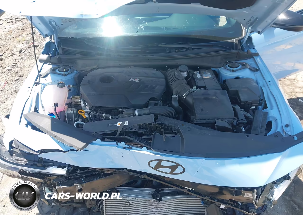 2025 Hyundai Elantra N VIN:KMHLW4DKXSU032055 - 10