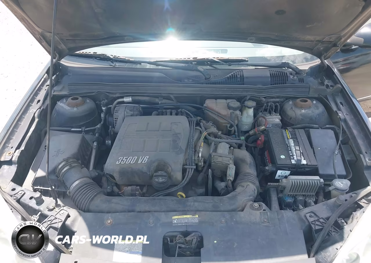 2006 Chevrolet Malibu Lt VIN:1G1ZT51816F268117 - 10