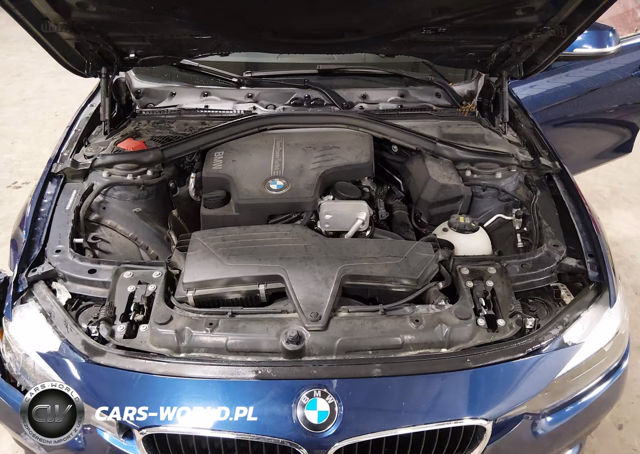 2016 BMW 320I xDrive VIN:WBA8E5G57GNT94982 - 10