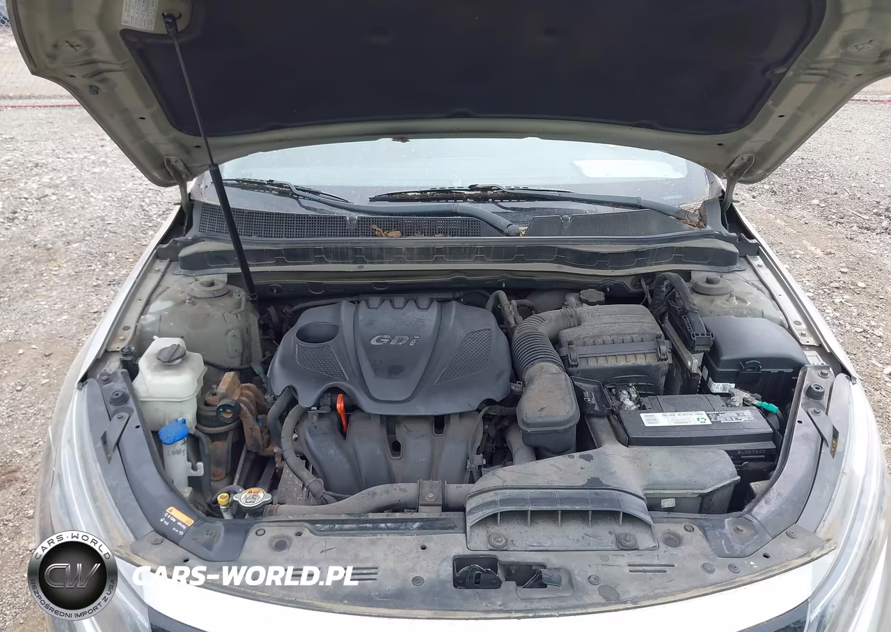 2014 Kia Optima Lx VIN:KNAGM4A75E5519350 - 10