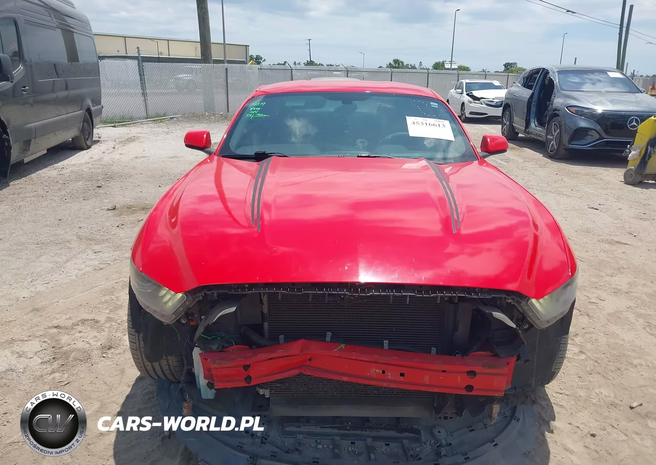 2017 Ford Mustang V6 VIN:1FA6P8AM3H5332766 - 13