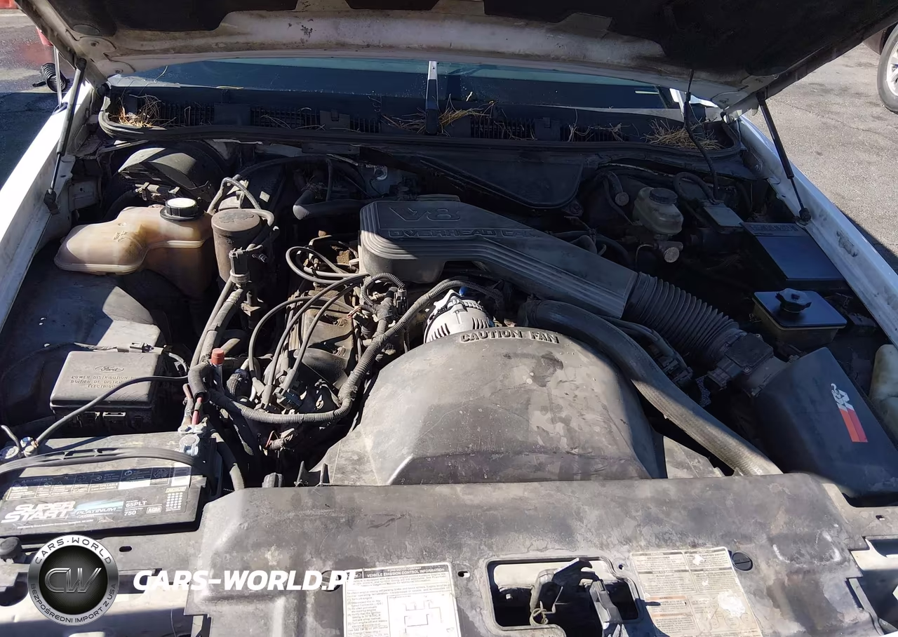 1993 Mercury Grand Marquis Ls VIN:2MELM75W5PX628377 - 10