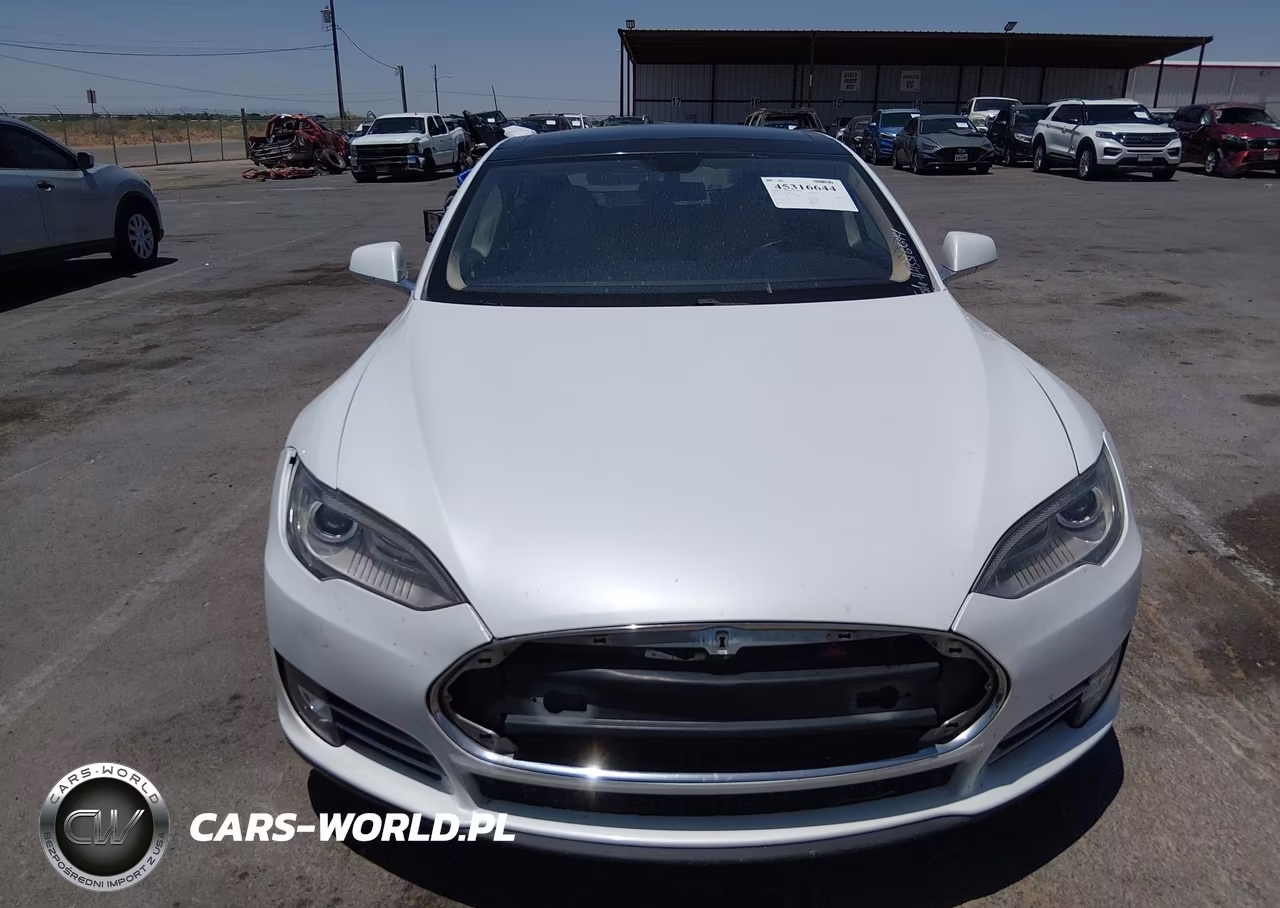 2012 Tesla Model S Performance-Signature Performance VIN:5YJSA1DP7CFP01420 - 12