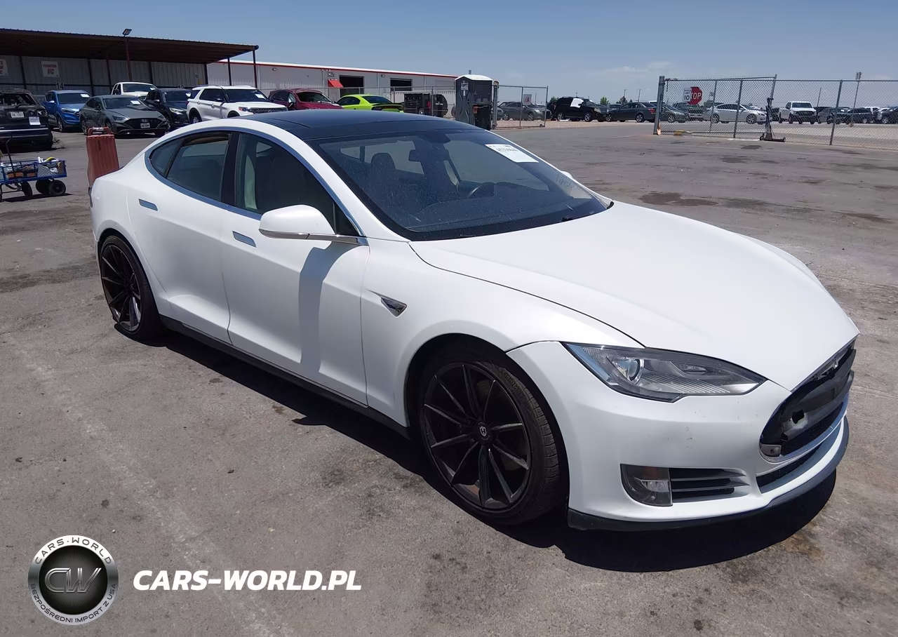 2012 Tesla Model S Performance-Signature Performance VIN:5YJSA1DP7CFP01420 - 13