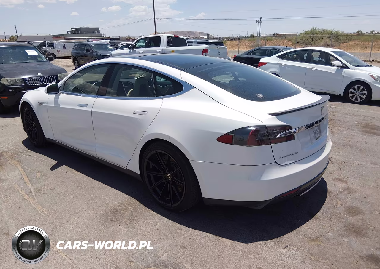 2012 Tesla Model S Performance-Signature Performance VIN:5YJSA1DP7CFP01420 - 14