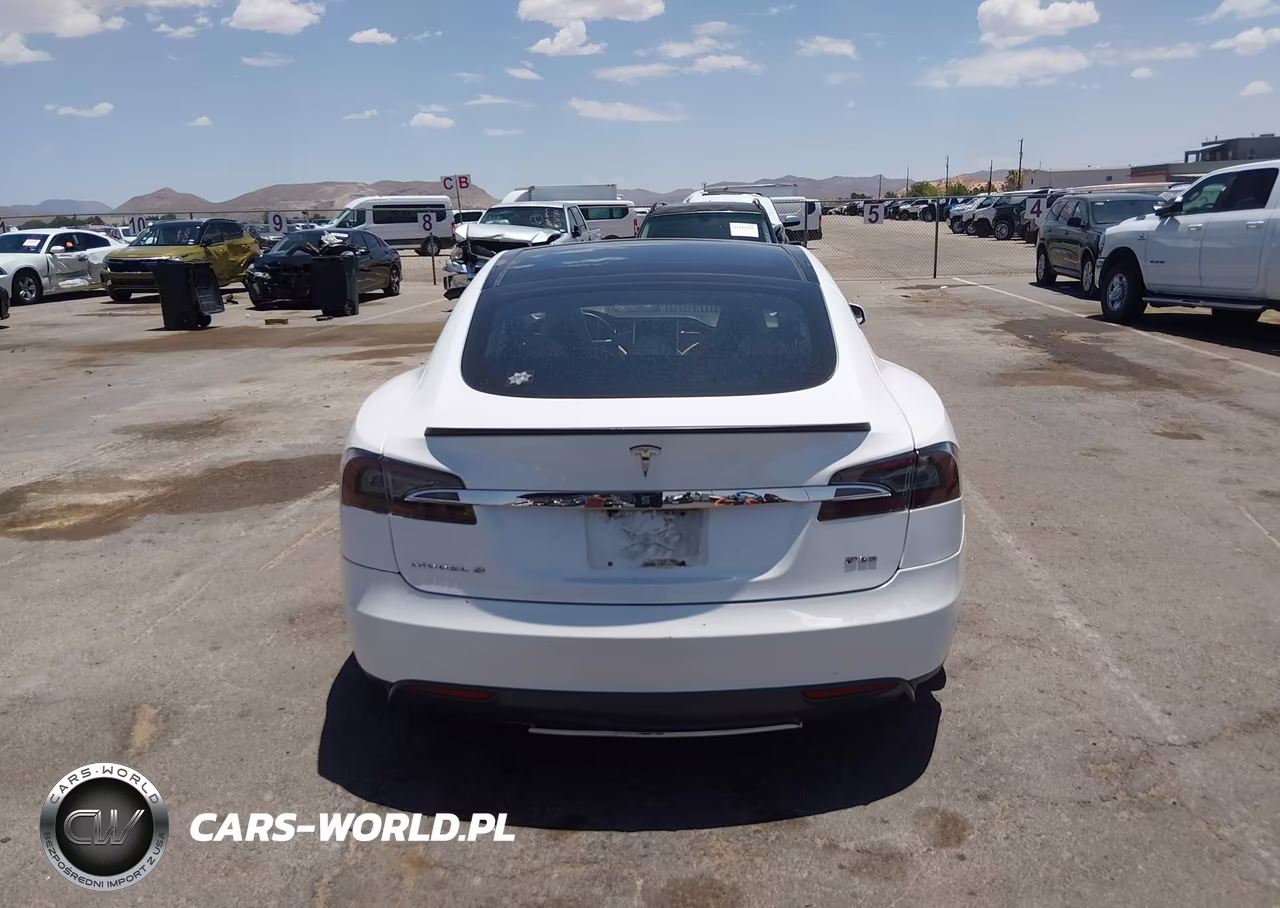 2012 Tesla Model S Performance-Signature Performance VIN:5YJSA1DP7CFP01420 - 16