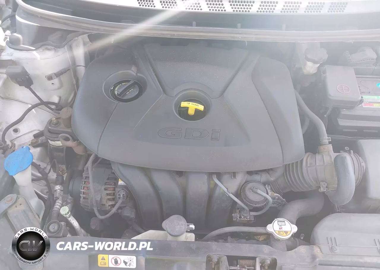 2014 Hyundai Elantra VIN:KMHDH6AH6EU026356 - 10
