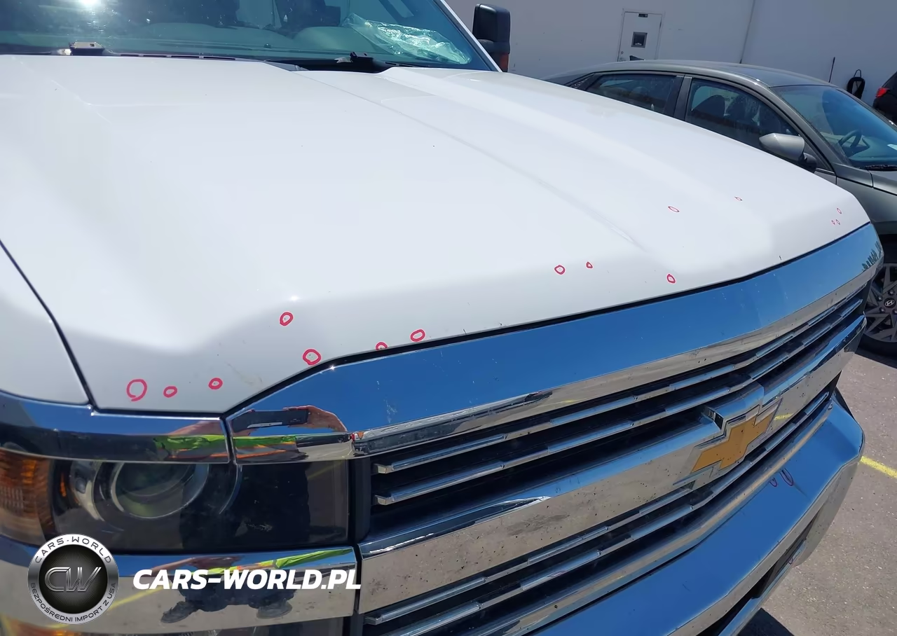 2017 Chevrolet Silverado 2500Hd Wt VIN:1GC1KUEG1HF164118 - 6
