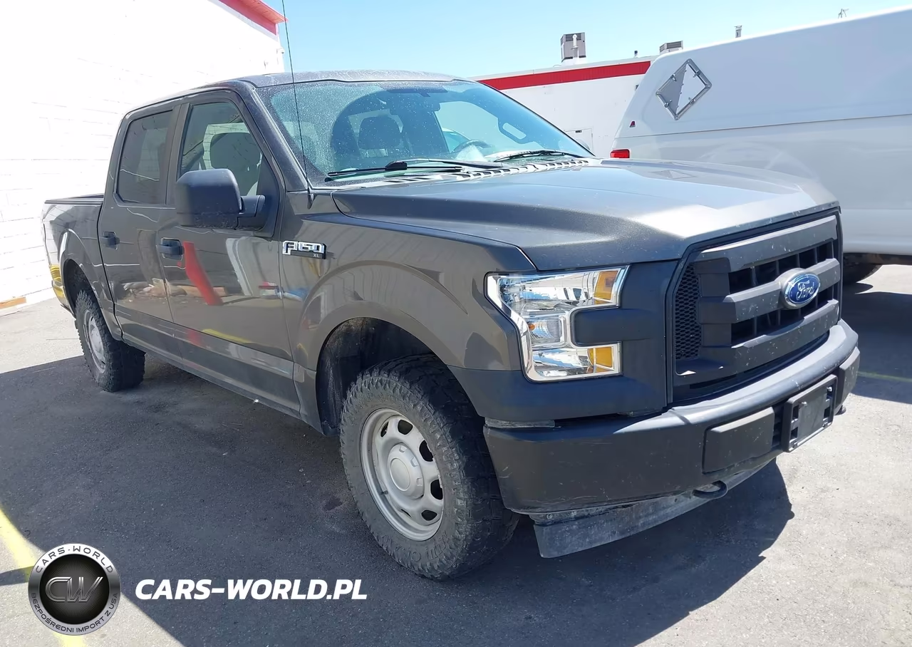 2017 Ford F-150 Xl – zdjęcie 1 z 17